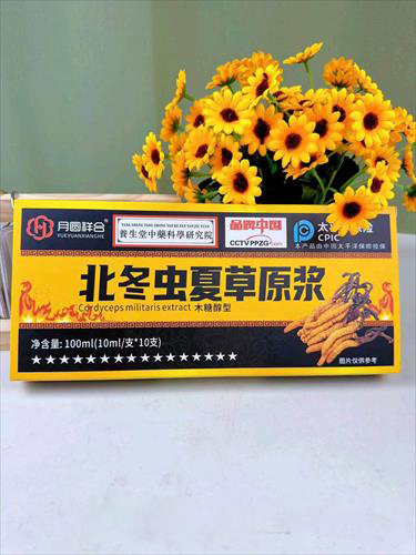 北冬蟲夏草原漿