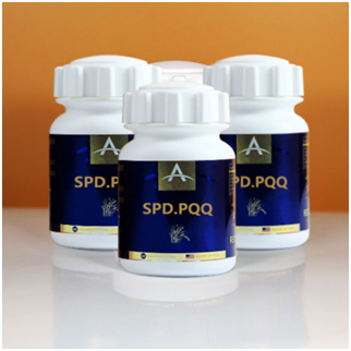 ����ԭ�b�M��SPD.PQQ����һվʽODM�N������ֱ�Nֱ�����N�^(q��)���o